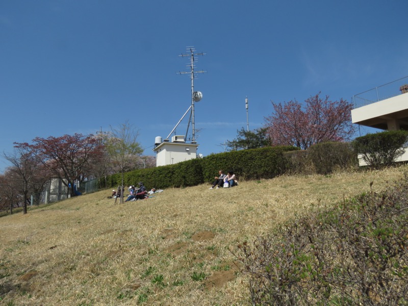 箕山、美の山