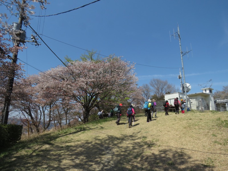 箕山、美の山