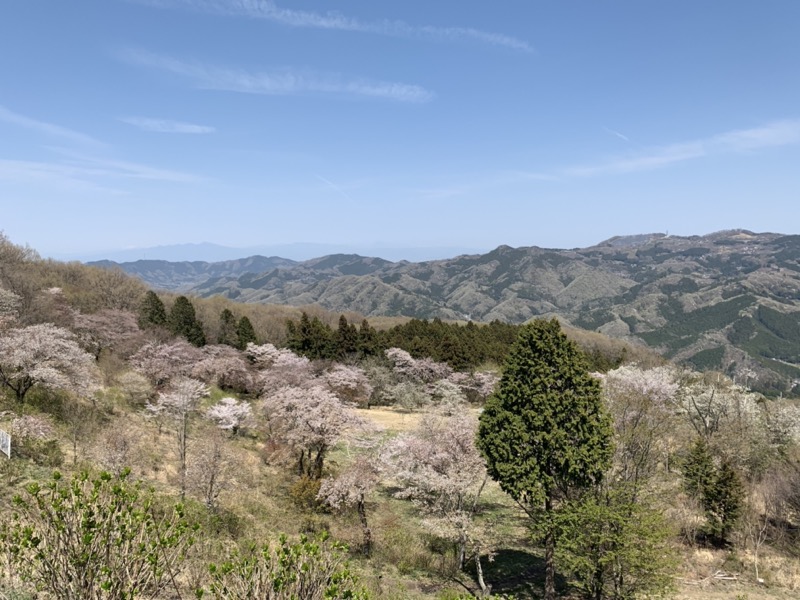 箕山、美の山