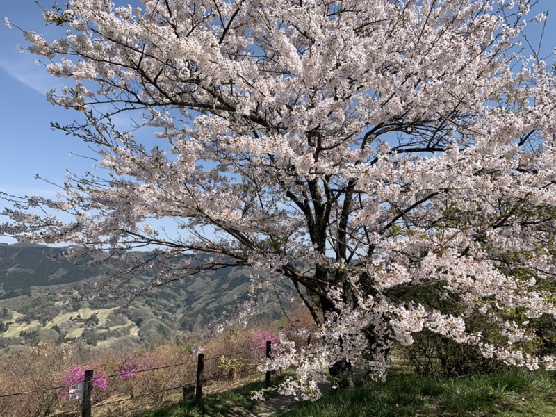 箕山、美の山