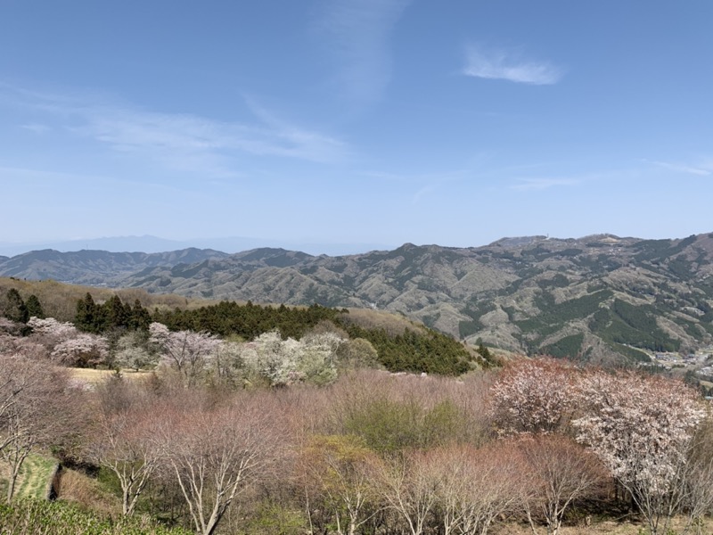 箕山、美の山