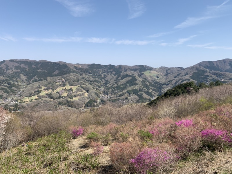 箕山、美の山