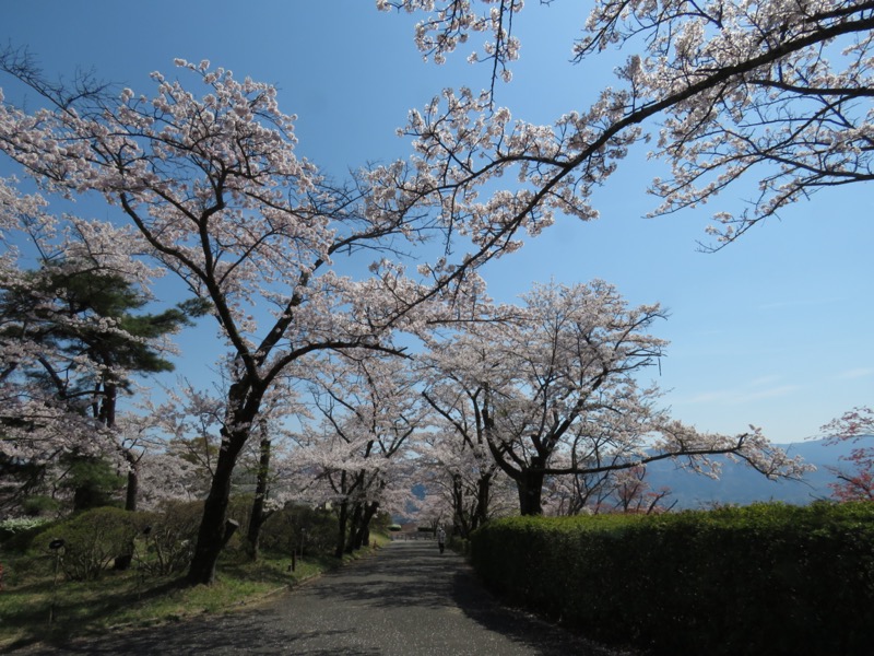 箕山、美の山