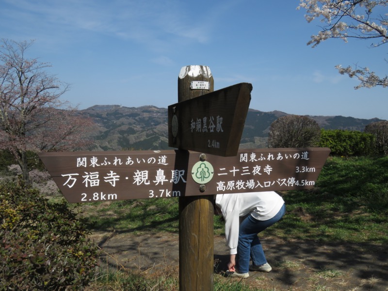 箕山、美の山