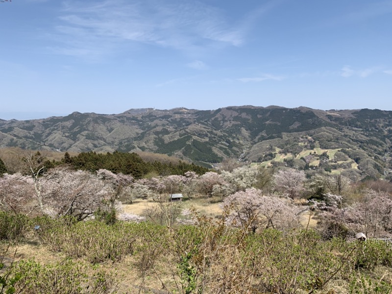 箕山、美の山