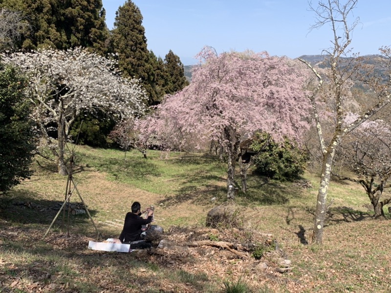 箕山、美の山