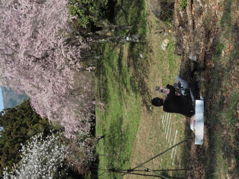 箕山、美の山