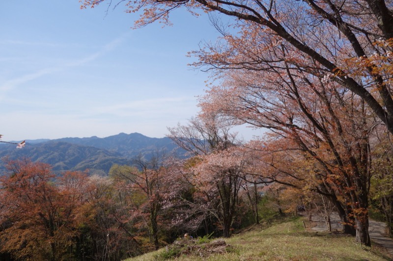 箕山、美の山