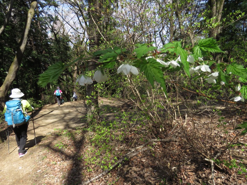 箕山、美の山