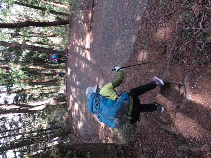 箕山、美の山