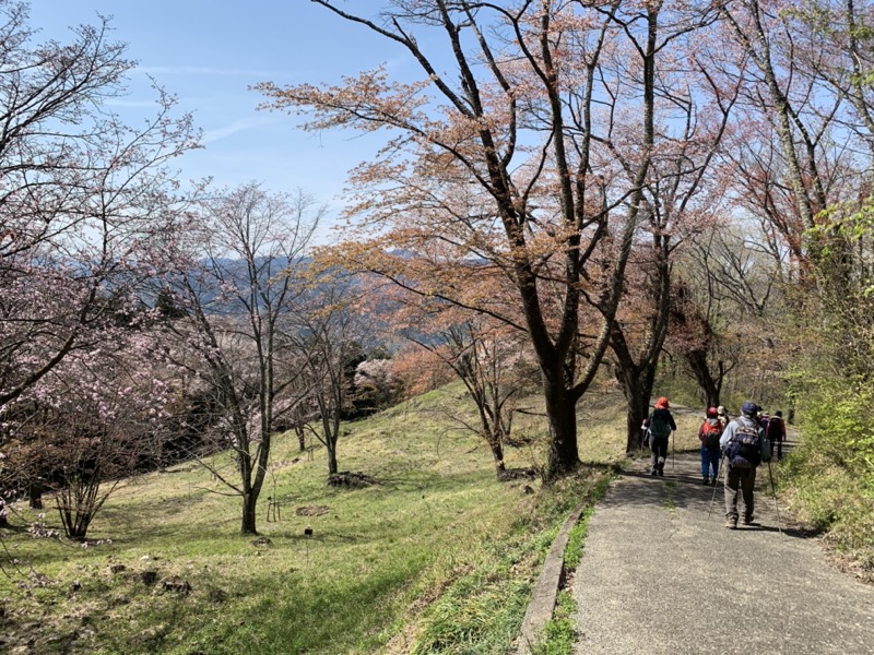 箕山、美の山