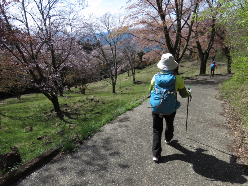 箕山、美の山