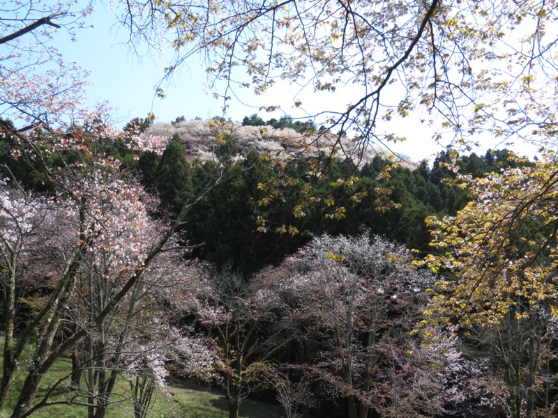 箕山、美の山