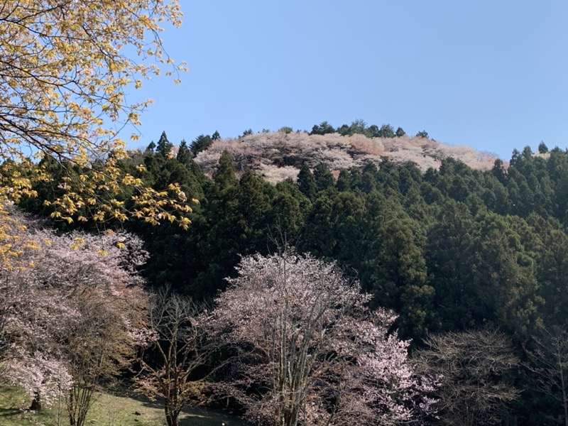 箕山、美の山