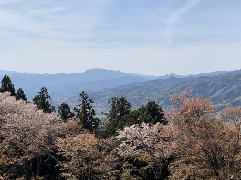 箕山、美の山