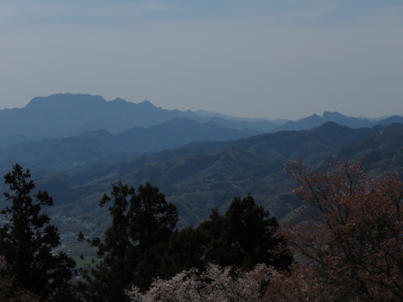 箕山、美の山