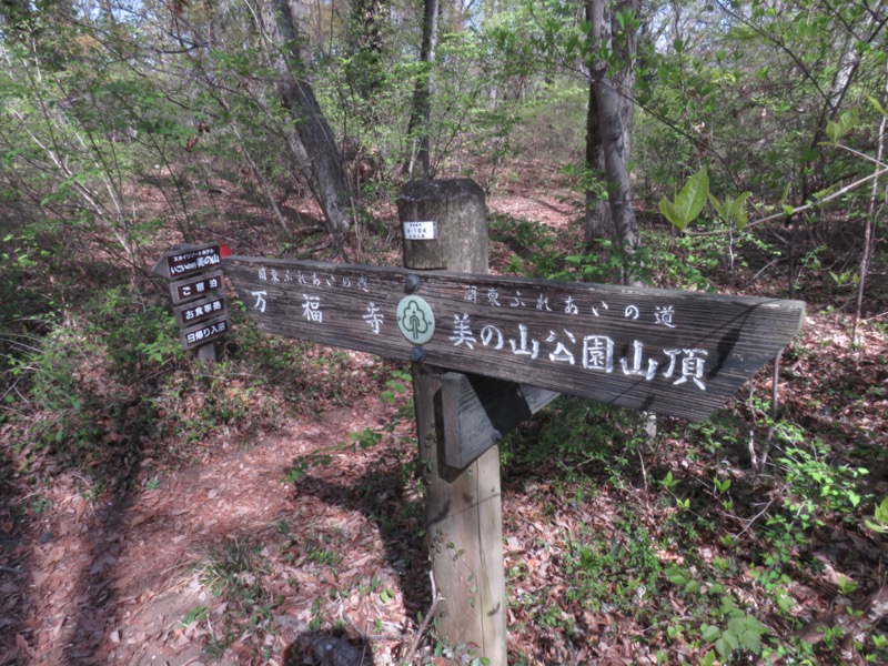 箕山、美の山