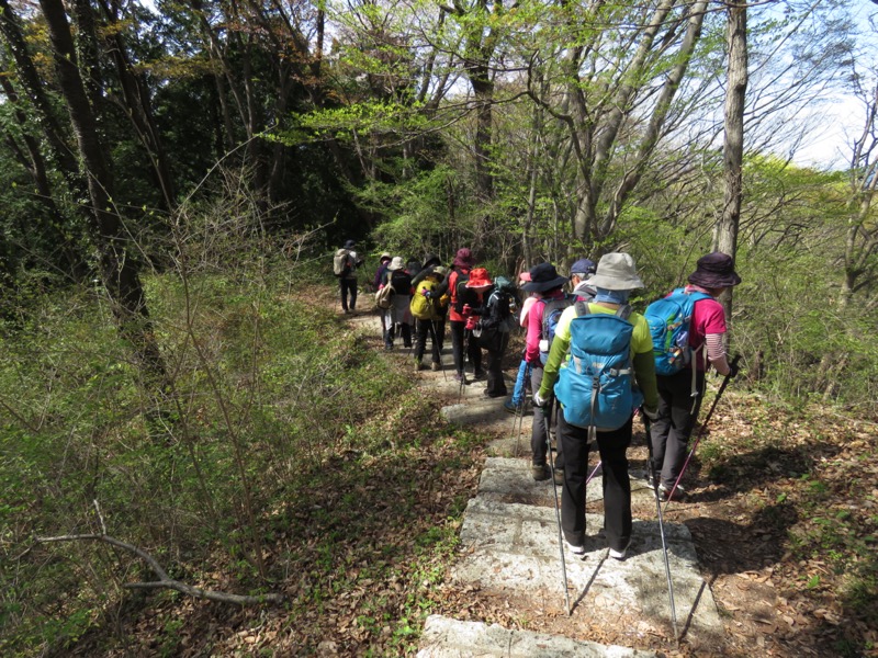 箕山、美の山