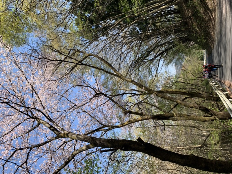 箕山、美の山