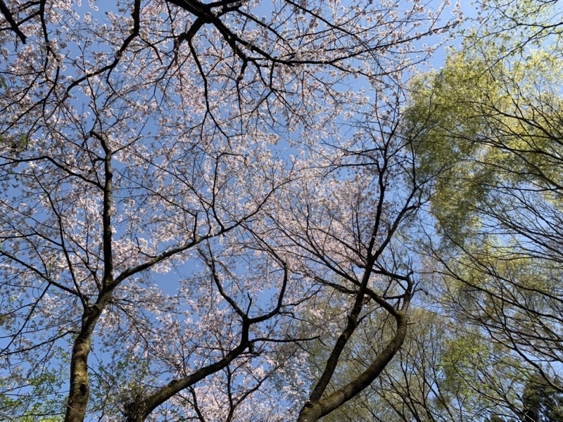 箕山、美の山