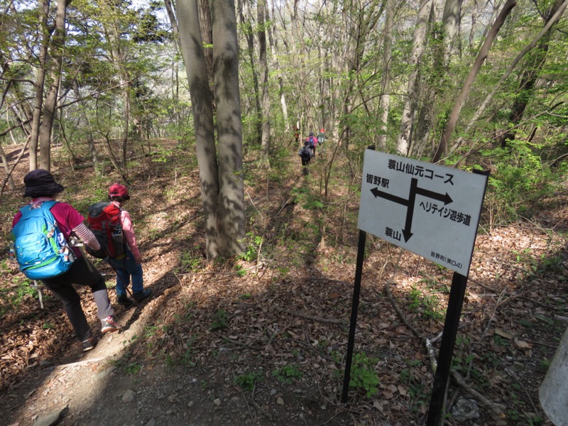 箕山、美の山