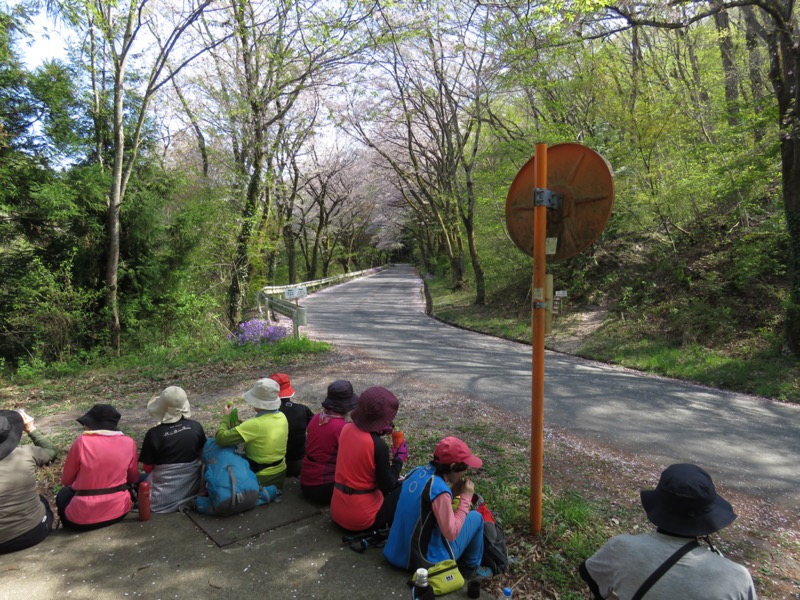 箕山、美の山