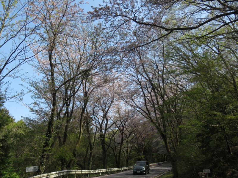 箕山、美の山