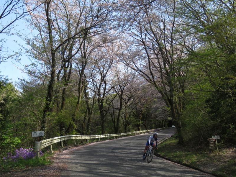 箕山、美の山