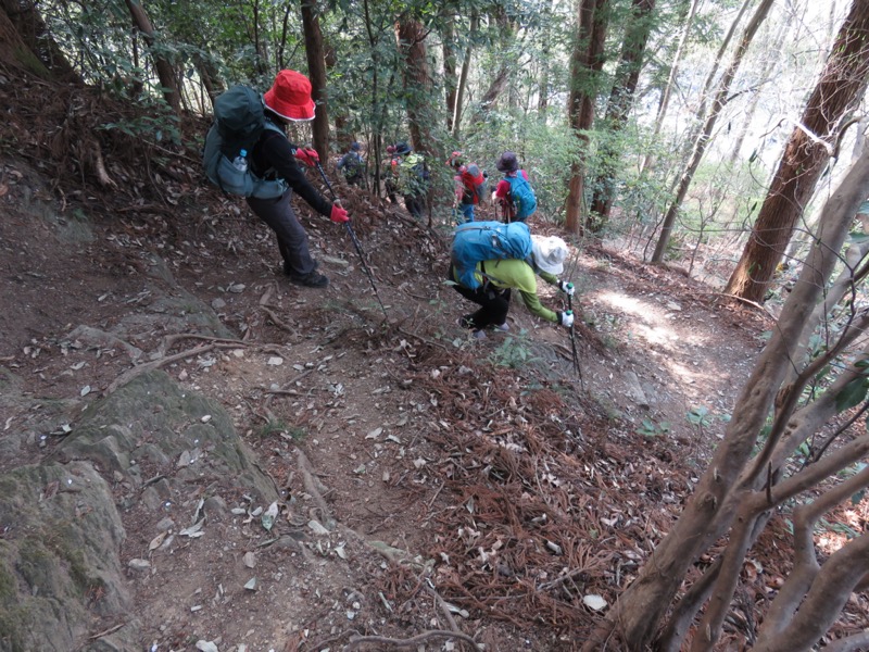 箕山、美の山