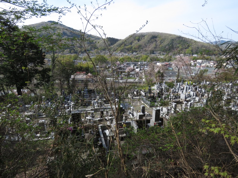 箕山、美の山