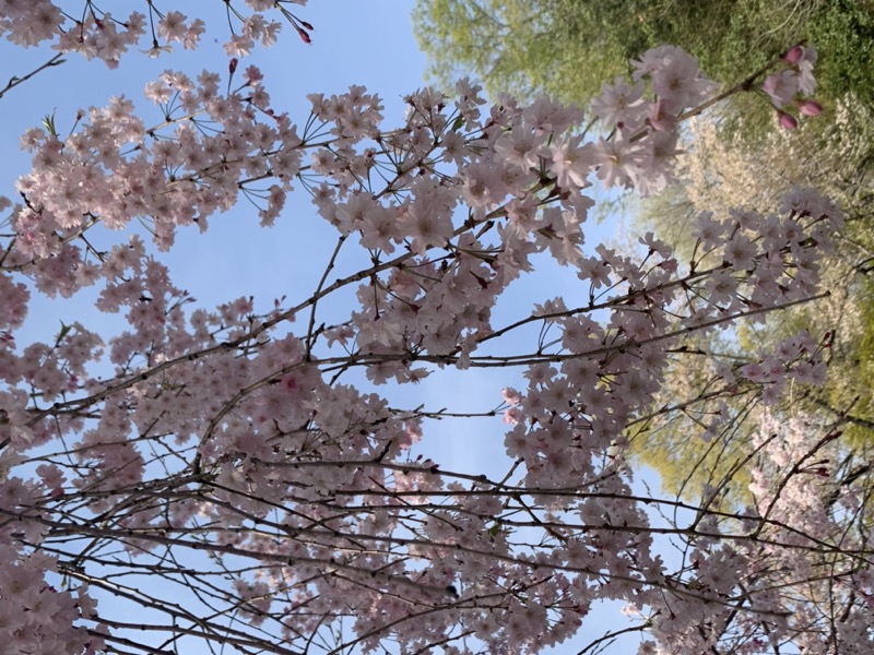 箕山、美の山