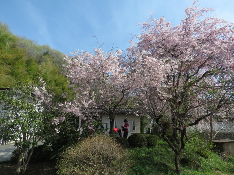 箕山、美の山