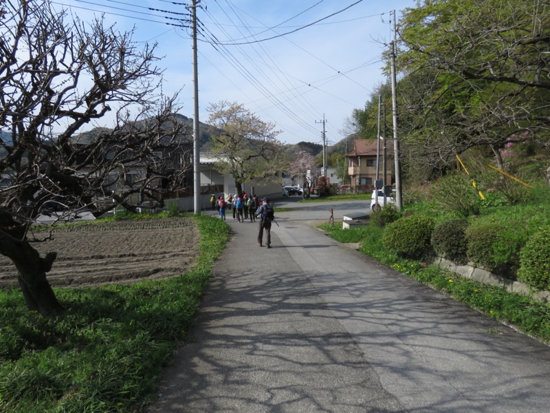 箕山、美の山