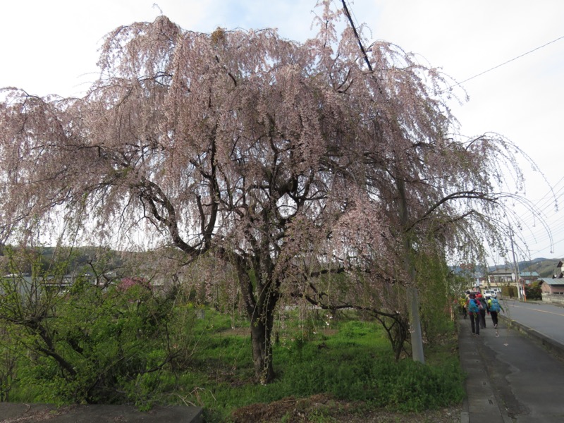 箕山、美の山