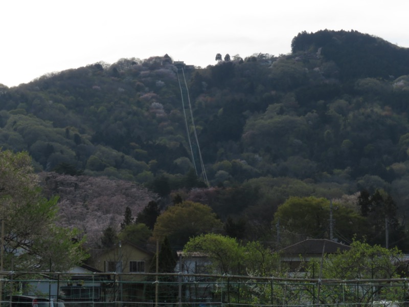 箕山、美の山