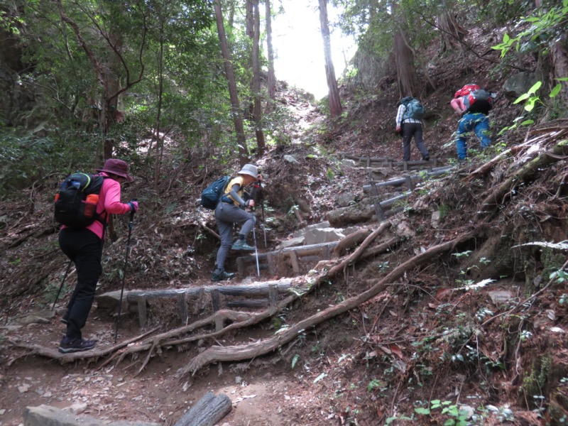 行道山　両崖山