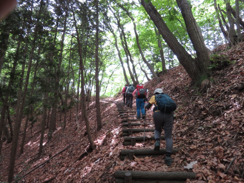 行道山　両崖山