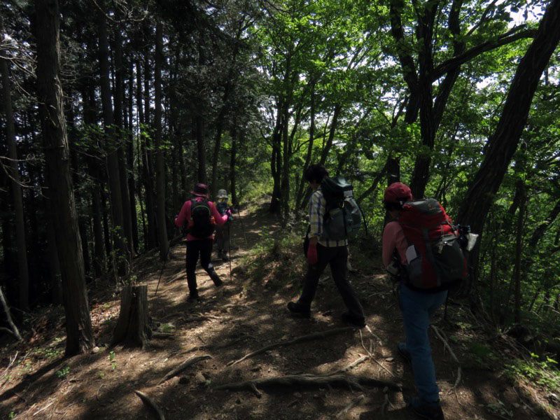 行道山　両崖山