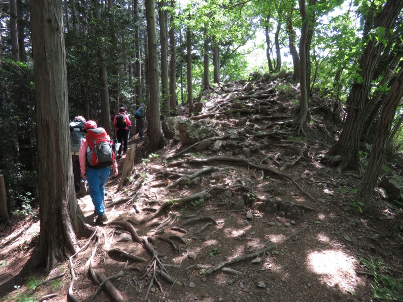 行道山　両崖山