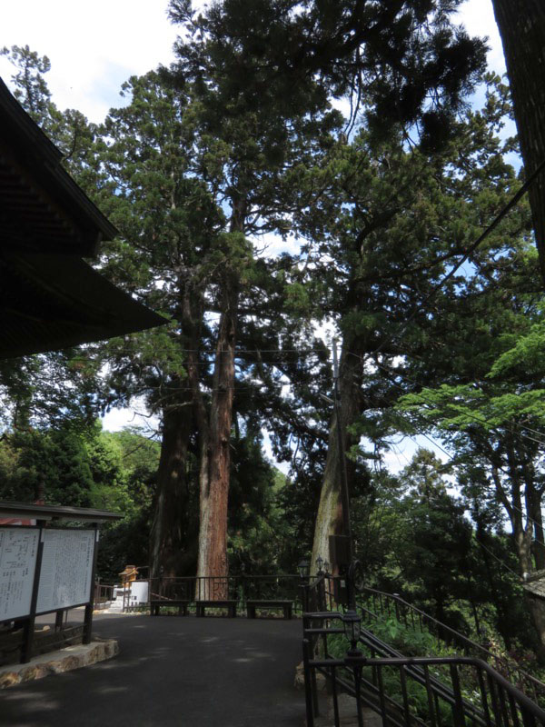 行道山　両崖山