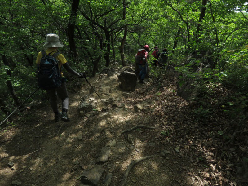 行道山　両崖山