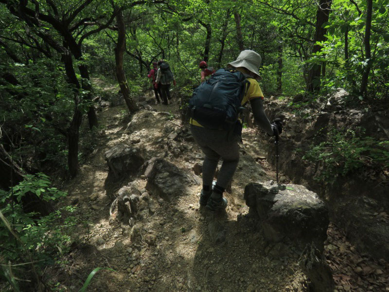 行道山　両崖山