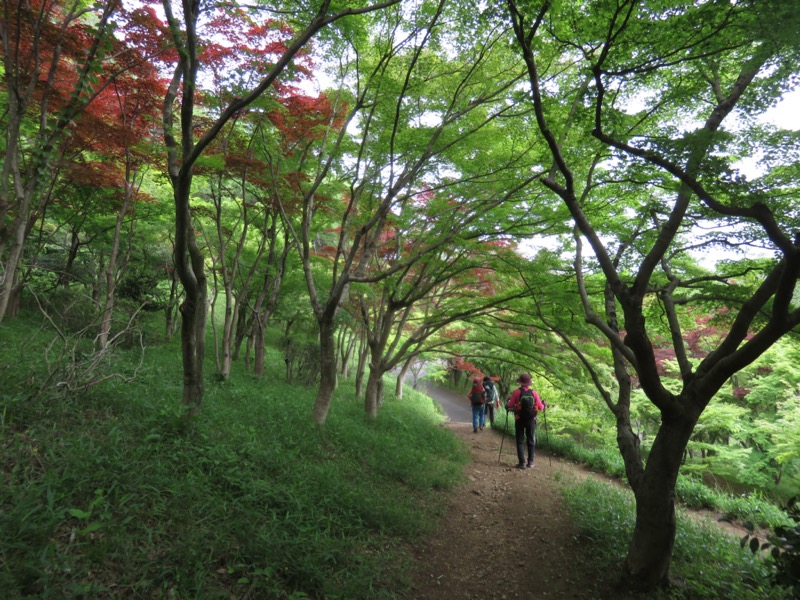 行道山　両崖山