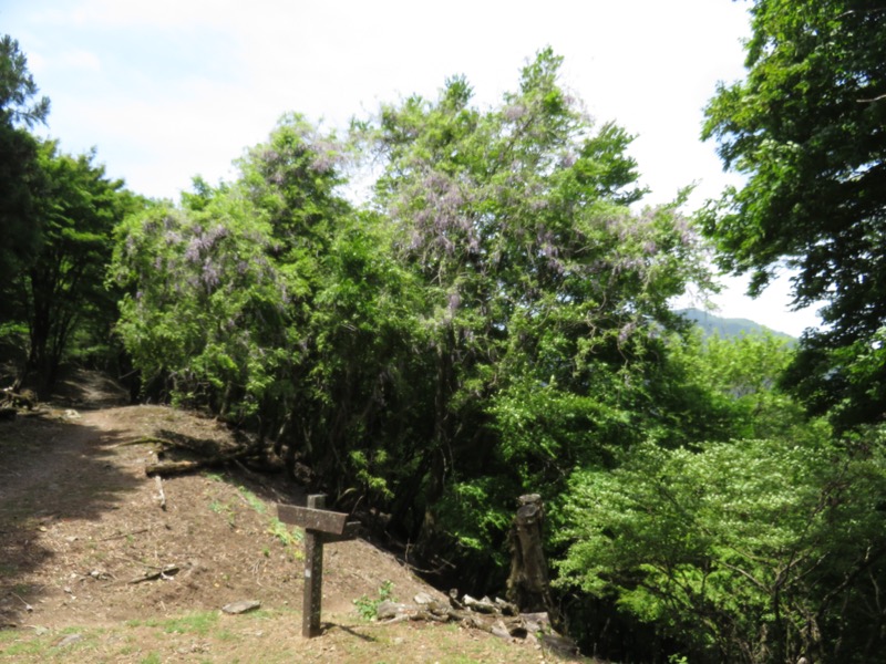 武川岳、二子山