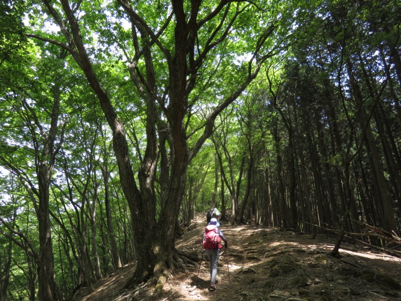 武川岳、二子山