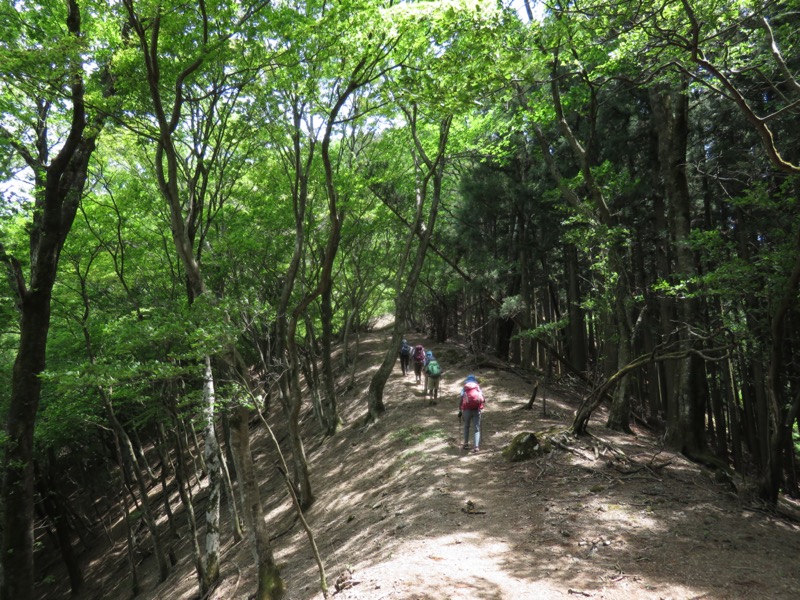 武川岳、二子山