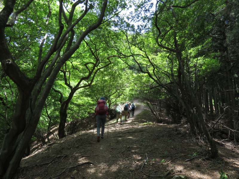 武川岳、二子山