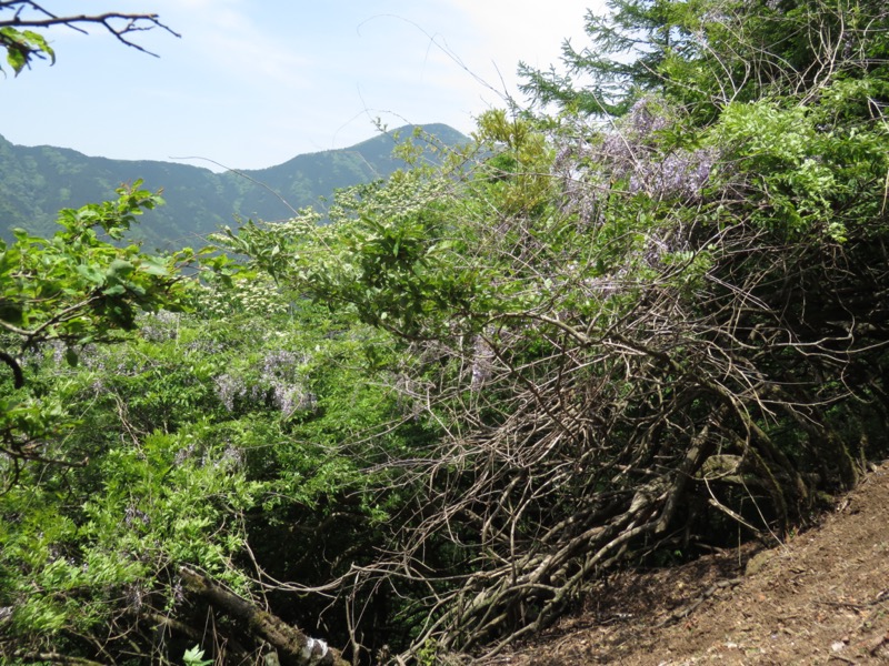 武川岳、二子山