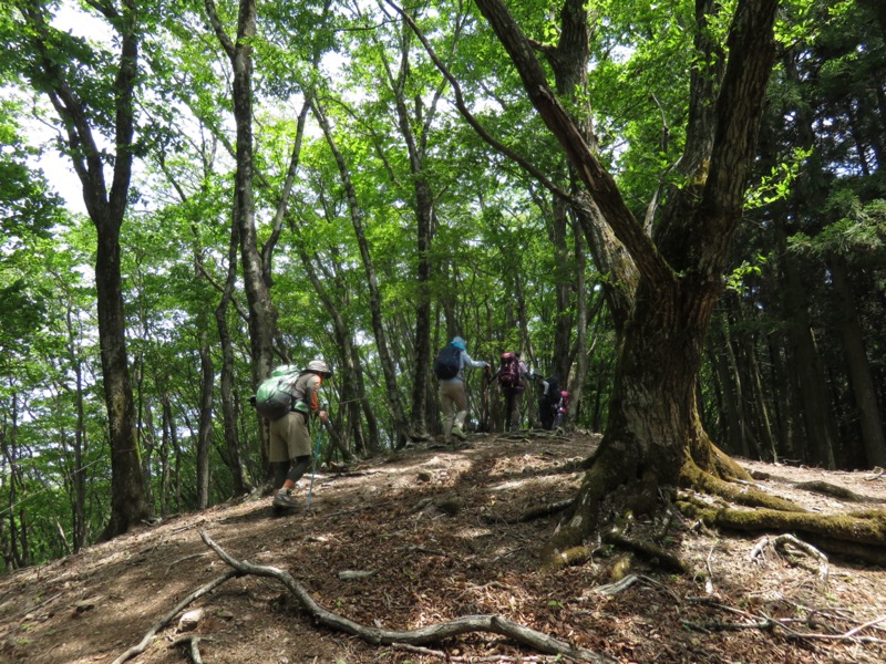 武川岳、二子山