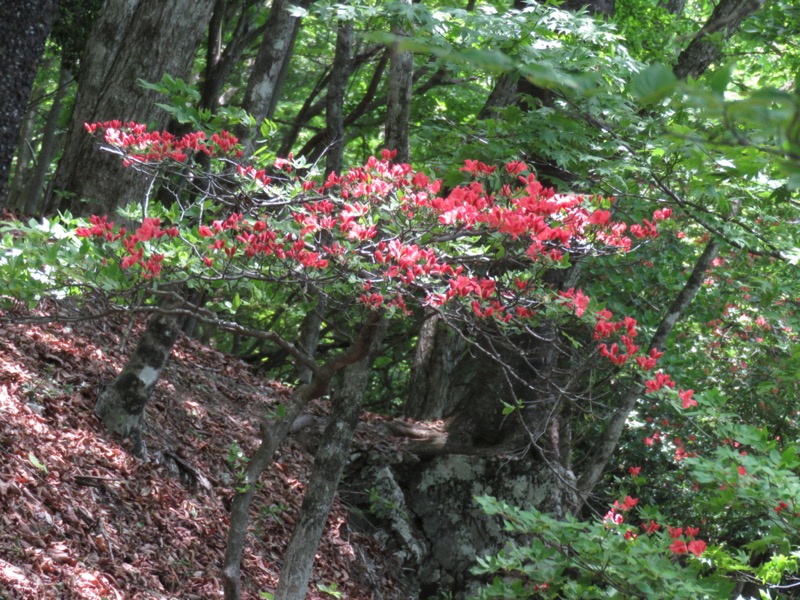 武川岳、二子山